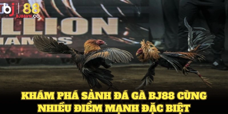 Khám phá sảnh đá gà BJ88 cùng nhiều điểm mạnh đặc biệt
